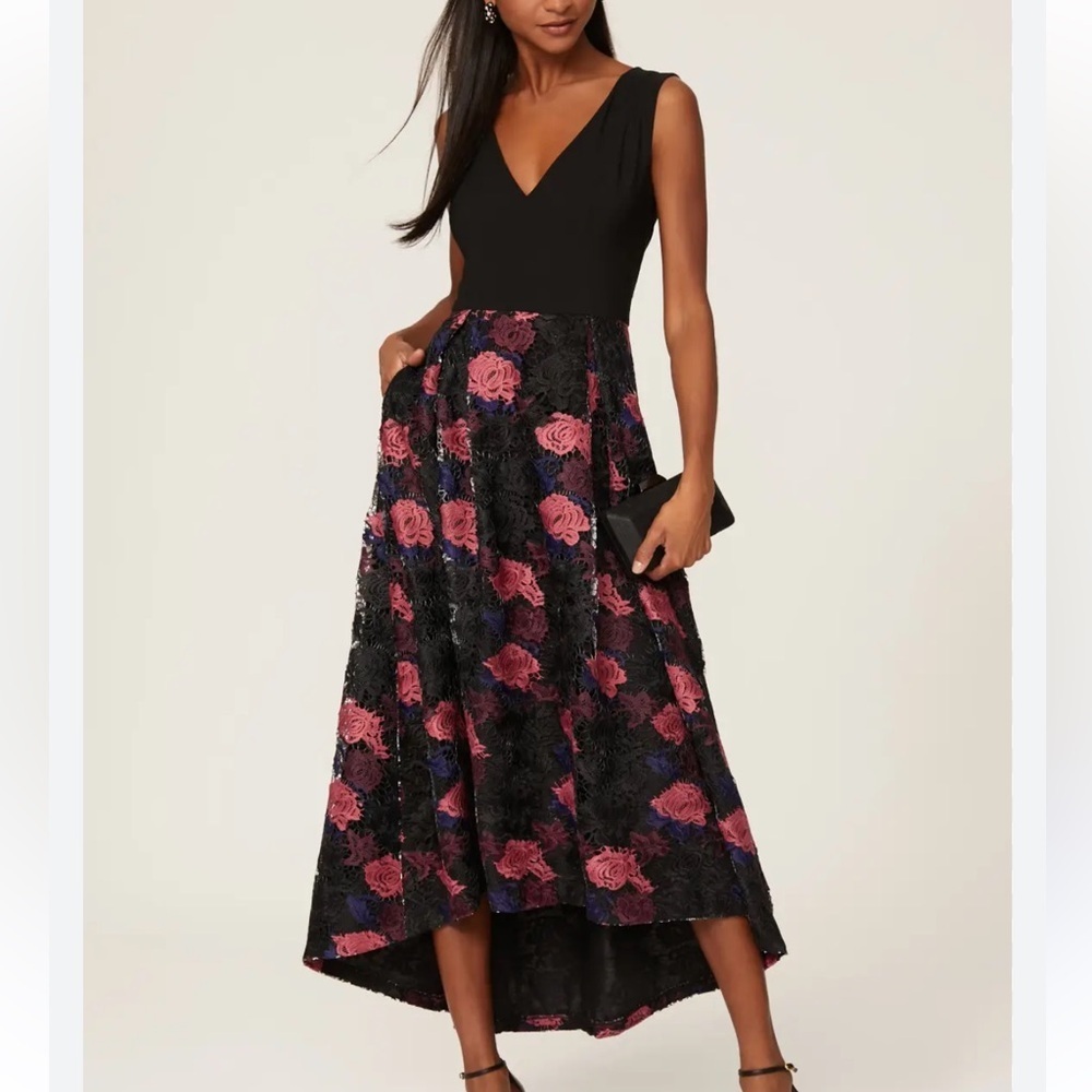 Hutch Lace Plunge Gown